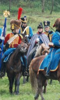 Бородино 2013 года Бородино 2013 года